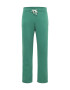 HOLLISTER Pantaloni verde - Pled.ro