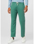 HOLLISTER Pantaloni verde - Pled.ro