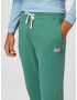 HOLLISTER Pantaloni verde - Pled.ro