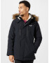 HOLLISTER Parka de iarnă maro / negru / alb natural - Pled.ro