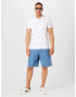 HOLLISTER Tricou albastru / alb - Pled.ro