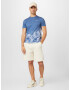 HOLLISTER Tricou albastru fumuriu / alb - Pled.ro