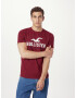 HOLLISTER Tricou albastru închis / gri deschis / roșu vin / alb - Pled.ro