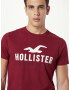 HOLLISTER Tricou albastru închis / gri deschis / roșu vin / alb - Pled.ro