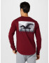 HOLLISTER Tricou albastru porumbel / gri bazalt / gri deschis / roșu burgundy / negru - Pled.ro