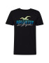 HOLLISTER Tricou albastru / verde deschis / negru / alb - Pled.ro