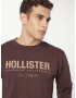 HOLLISTER Tricou 'APAC' maro / maro deschis - Pled.ro