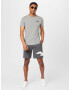 HOLLISTER Tricou 'EMEA' gri amestecat / negru - Pled.ro