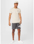 HOLLISTER Tricou 'EMEA' maro deschis / negru - Pled.ro