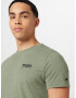 HOLLISTER Tricou 'EMEA' verde / negru - Pled.ro