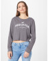 HOLLISTER Tricou gri / alb - Pled.ro