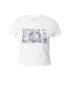 HOLLISTER Tricou gri / alb - Pled.ro