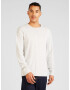 HOLLISTER Tricou gri deschis - Pled.ro