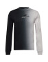 HOLLISTER Tricou gri deschis / negru - Pled.ro