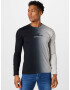 HOLLISTER Tricou gri deschis / negru - Pled.ro