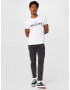 HOLLISTER Tricou gri deschis / negru / alb - Pled.ro