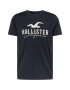 HOLLISTER Tricou gri / gri deschis / negru - Pled.ro