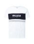 HOLLISTER Tricou gri / negru / alb - Pled.ro