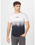 HOLLISTER Tricou gri / negru / alb - Pled.ro