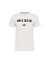 HOLLISTER Tricou gri / negru / alb - Pled.ro