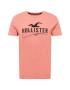 HOLLISTER Tricou gri / portocaliu somon - Pled.ro