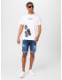 HOLLISTER Tricou gri / roz deschis / negru / alb - Pled.ro