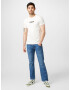 HOLLISTER Tricou mai multe culori / alb - Pled.ro