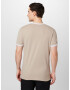 HOLLISTER Tricou maro deschis / alb - Pled.ro