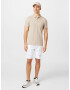 HOLLISTER Tricou maro deschis / alb - Pled.ro