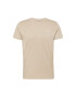 HOLLISTER Tricou maro deschis / alb - Pled.ro