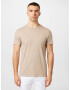 HOLLISTER Tricou maro deschis / alb - Pled.ro