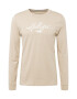 HOLLISTER Tricou maro deschis / alb - Pled.ro