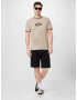 HOLLISTER Tricou maro deschis / negru - Pled.ro