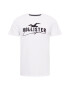 HOLLISTER Tricou negru / alb - Pled.ro