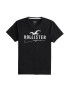 HOLLISTER Tricou negru / alb - Pled.ro