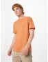 HOLLISTER Tricou portocaliu / alb - Pled.ro