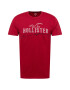 HOLLISTER Tricou roșu / negru / alb - Pled.ro