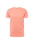 HOLLISTER Tricou roz pastel / alb - Pled.ro