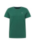 HOLLISTER Tricou verde închis / alb - Pled.ro