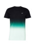 HOLLISTER Tricou verde jad / negru / alb - Pled.ro