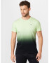 HOLLISTER Tricou verde pin / verde deschis - Pled.ro