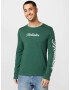 HOLLISTER Tricou verde smarald / alb - Pled.ro