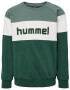 Hummel Bluză de molton 'Claes' verde pin / alb - Pled.ro