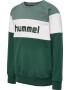 Hummel Bluză de molton 'Claes' verde pin / alb - Pled.ro