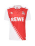 Hummel Tricot '1. FC Köln 22-23' verde / roșu / negru / alb - Pled.ro