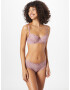 Hunkemöller Slip mauve - Pled.ro