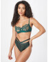 Hunkemöller Tanga 'Reeva' verde - Pled.ro