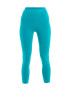 ICEBREAKER Leggings 'Fastray' turcoaz - Pled.ro