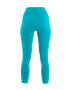 ICEBREAKER Leggings 'Fastray' turcoaz - Pled.ro