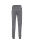 ICEBREAKER Pantaloni sport 'Crush' gri amestecat - Pled.ro